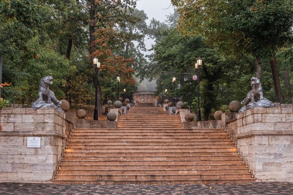 Фотография автора Галина Шепелева