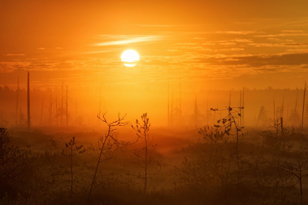 Photograph by Елена Соколова