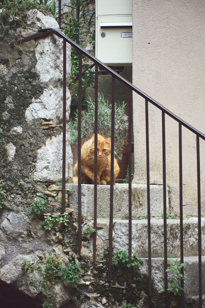 Фотография автора Владимир Эделев