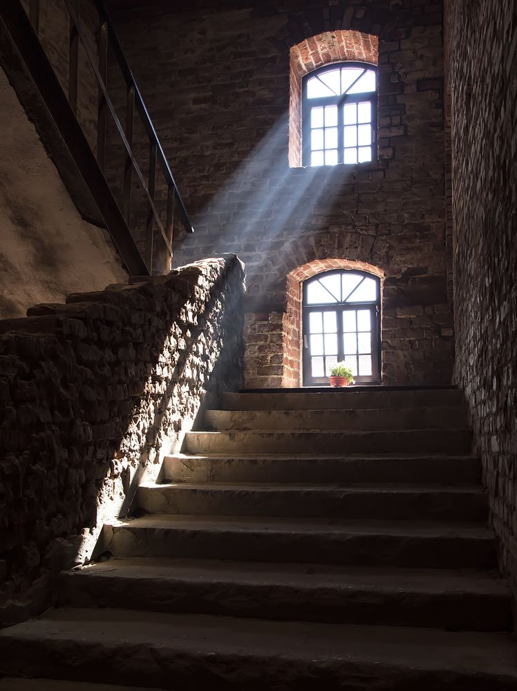 Photograph by Алексей Парамонов