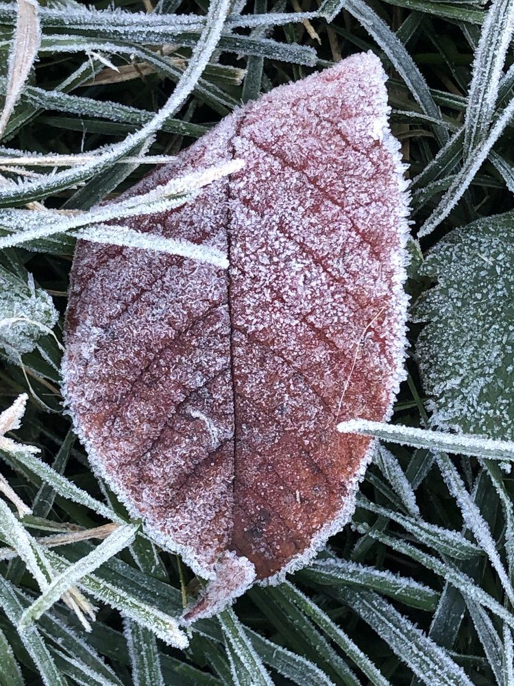 Photograph by Татьяна Новикова