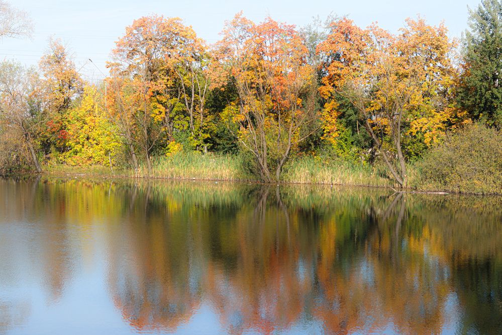 Photograph by Аня Проскурякова