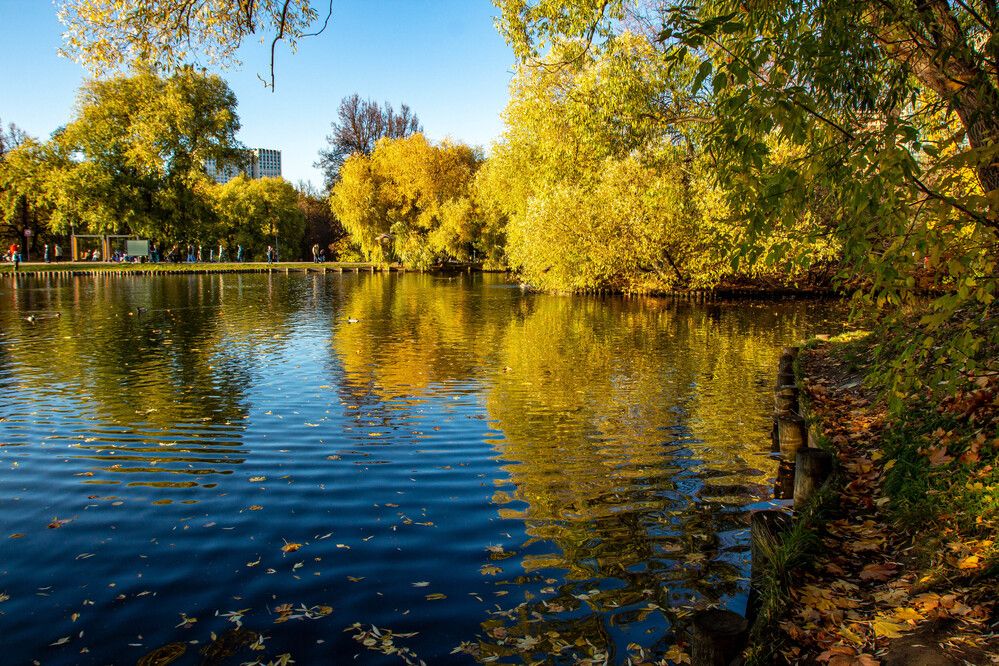 Photograph by Виталий Новиков