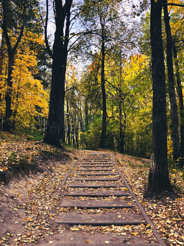 Photograph by Мария Карпычева