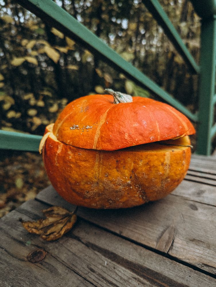 Photograph by Софья Титова