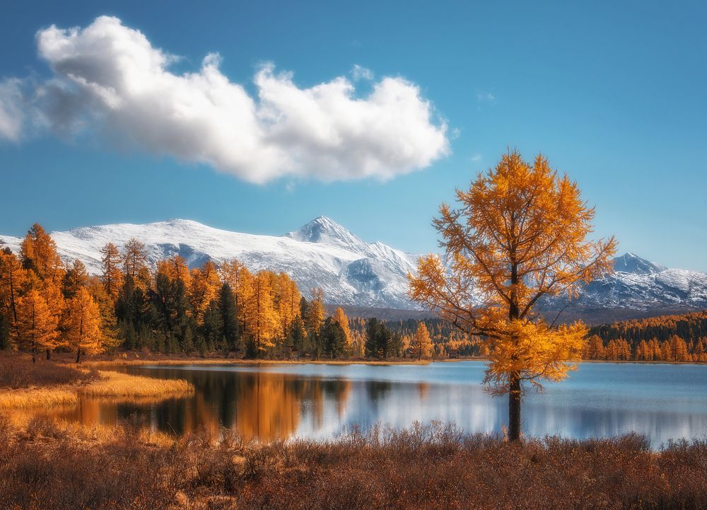 Photograph by Юдинских Марина