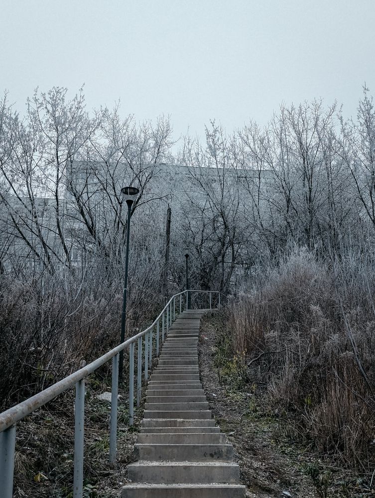 Photograph by Софья Титова