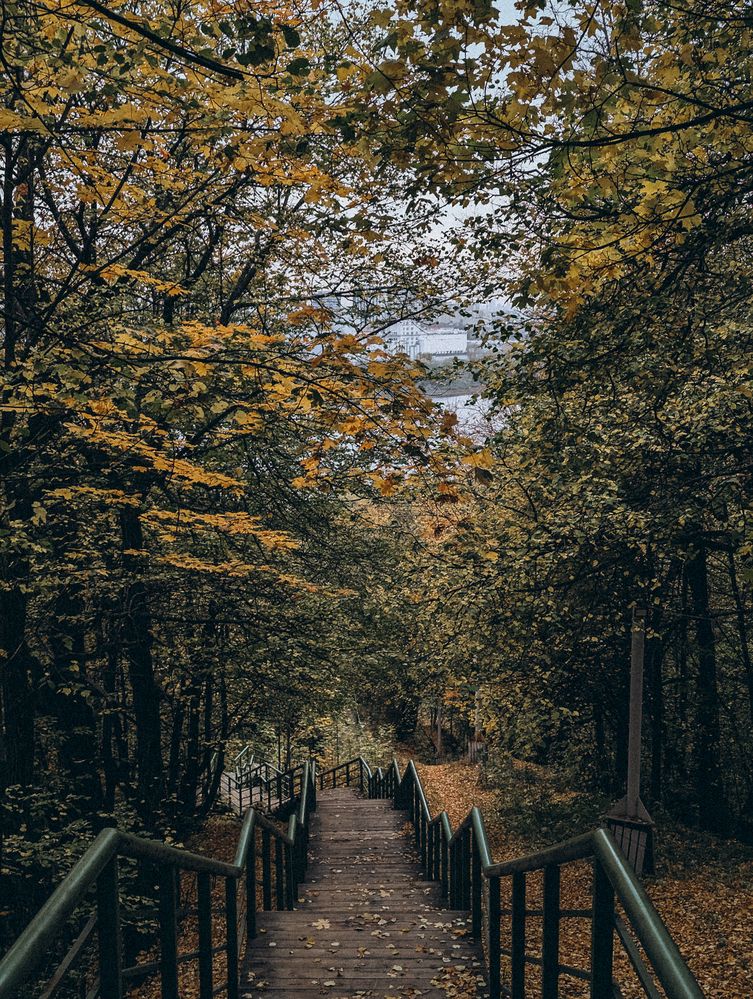 Photograph by Софья Титова
