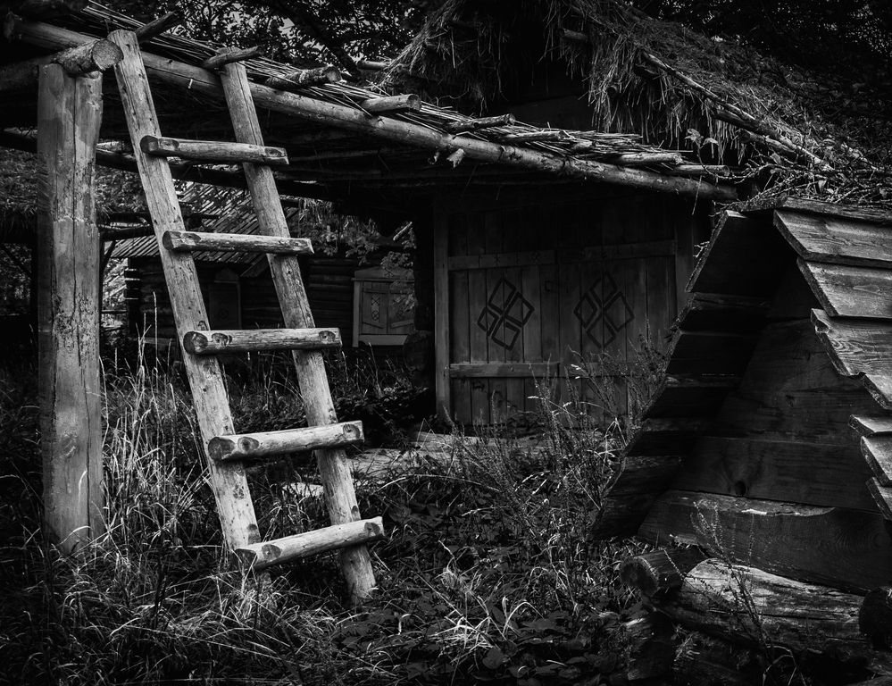 Photograph by Анна Стрелковская