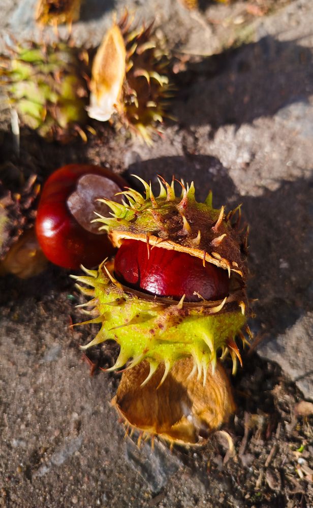 Photograph by Ника Ничай