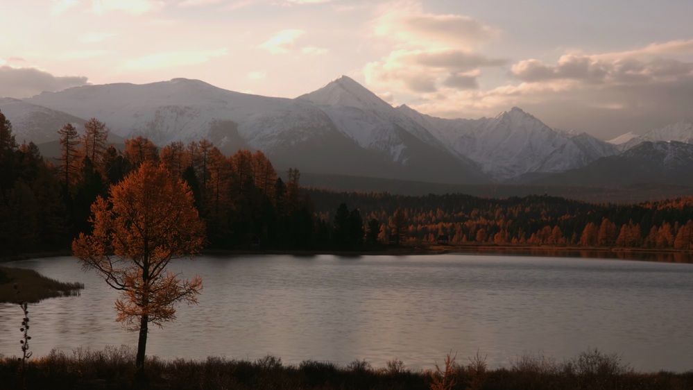 Photograph by Анна Семенова