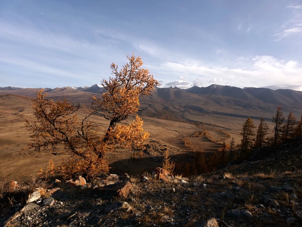 Photograph by Анна Семенова