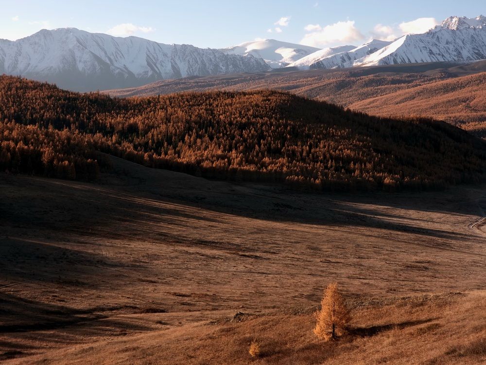 Photograph by Анна Семенова