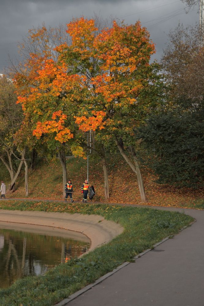 Оранжевый вайб