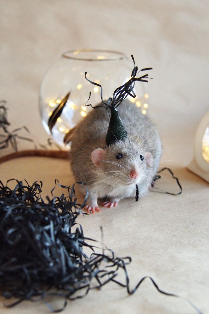 Photograph by Оксана Астрова