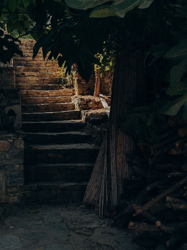 Photograph by Елена Михалева