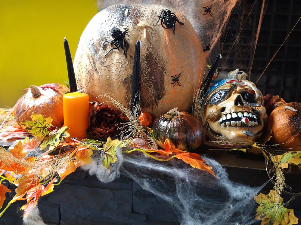 Фотография автора Дарья Рогозина