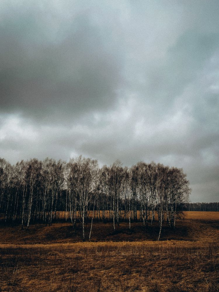 Photograph by Елена Михалева