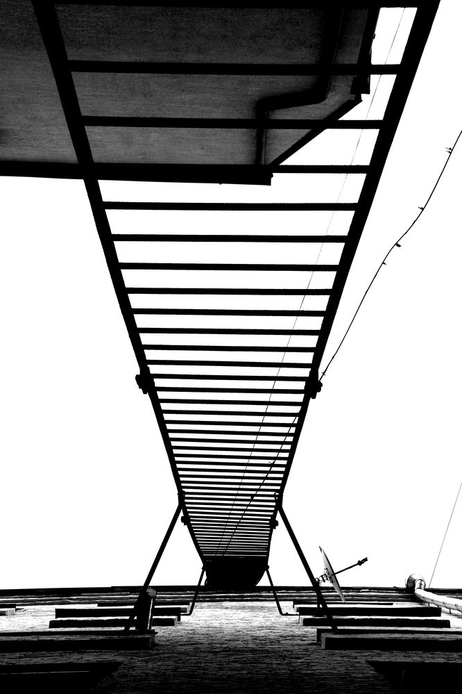 Фотография автора Оксана Лоншакова