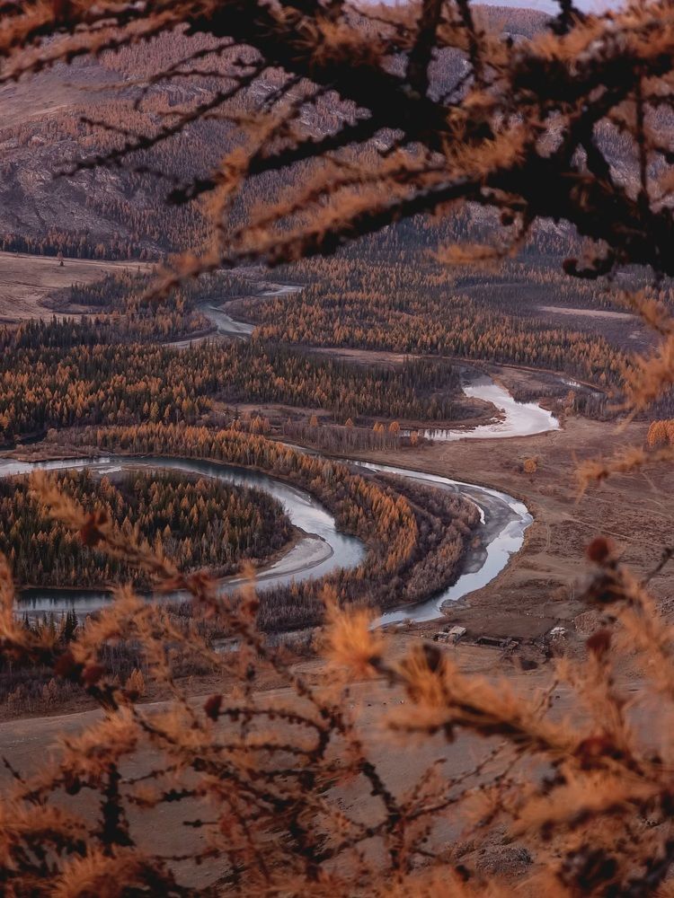 Photograph by Анна Семенова