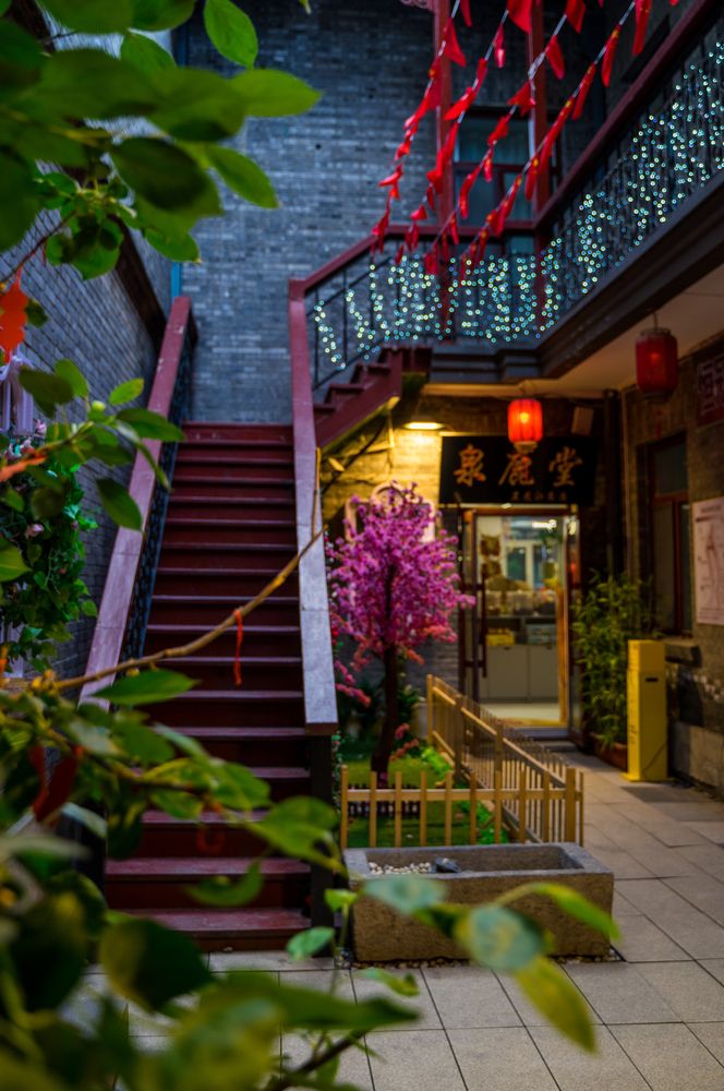 Фотография автора Василиса Новикова