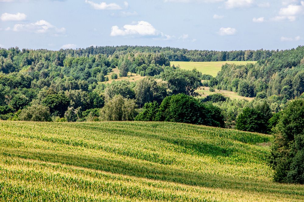 Photograph by Андрей Янковский