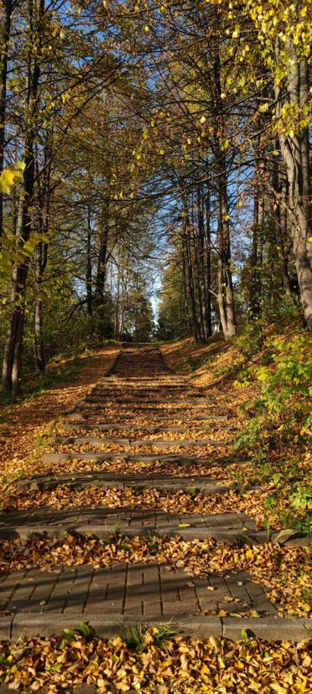 Photograph by Елена Бородулина