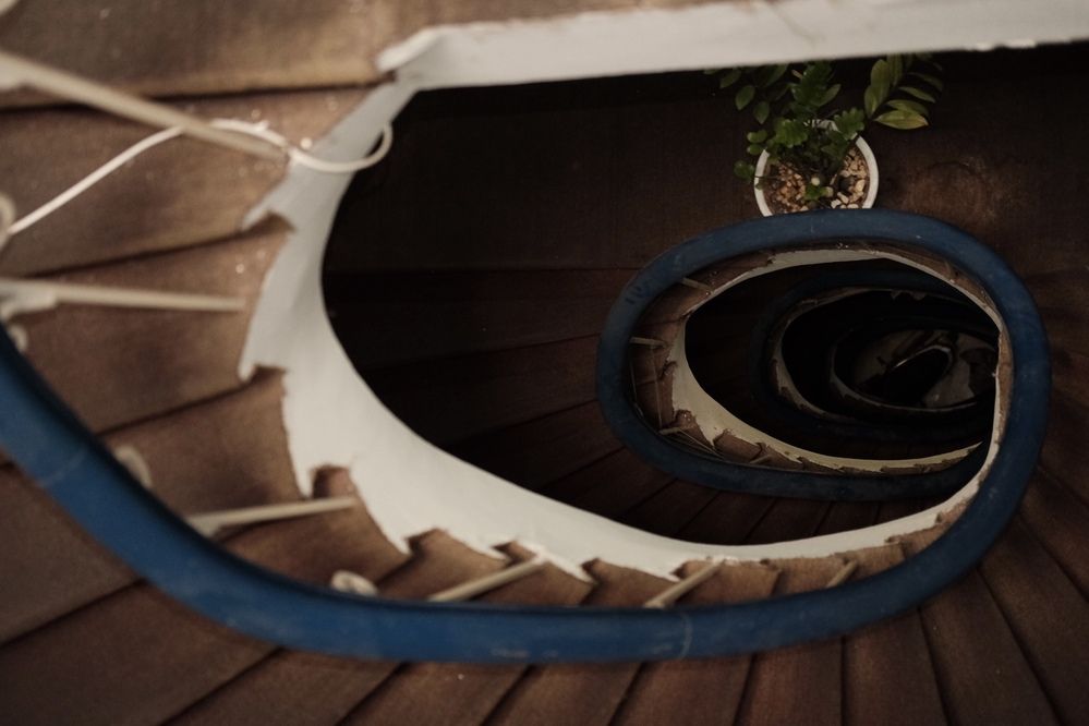 Photograph by Tô Đàm Quân