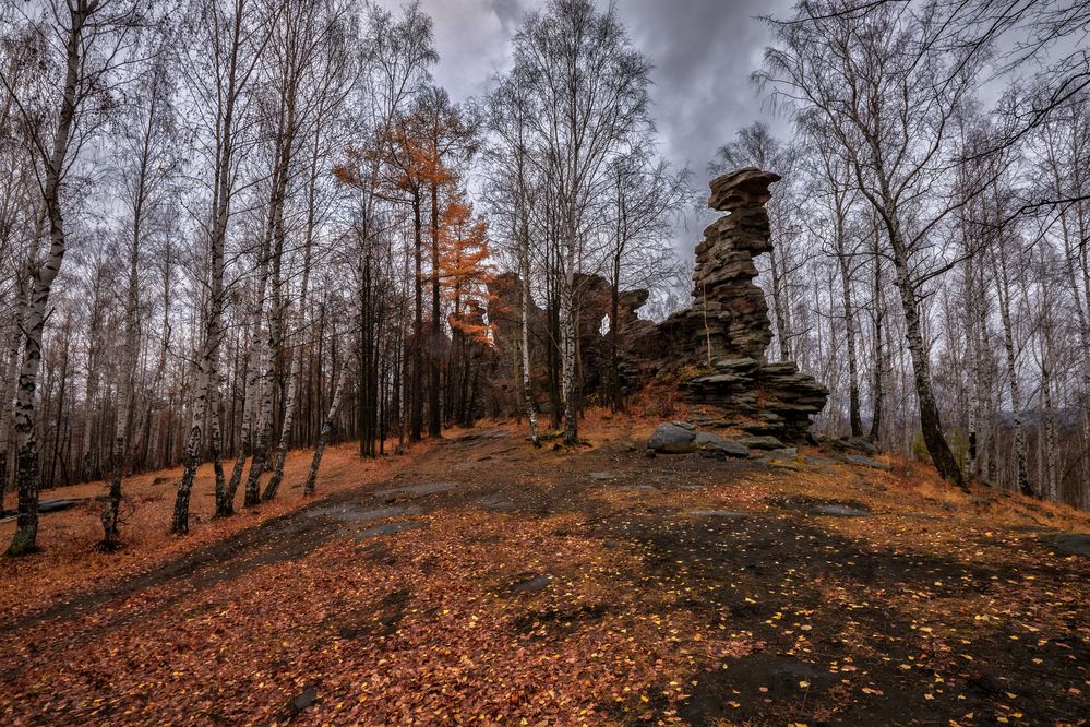 Под хмурым утром октября.