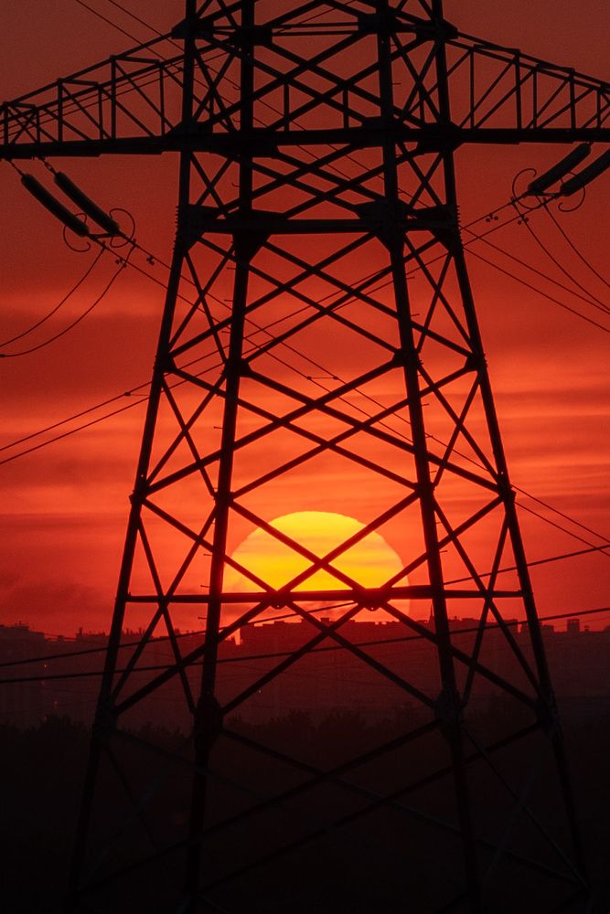 Фотография автора Светлана Зимина