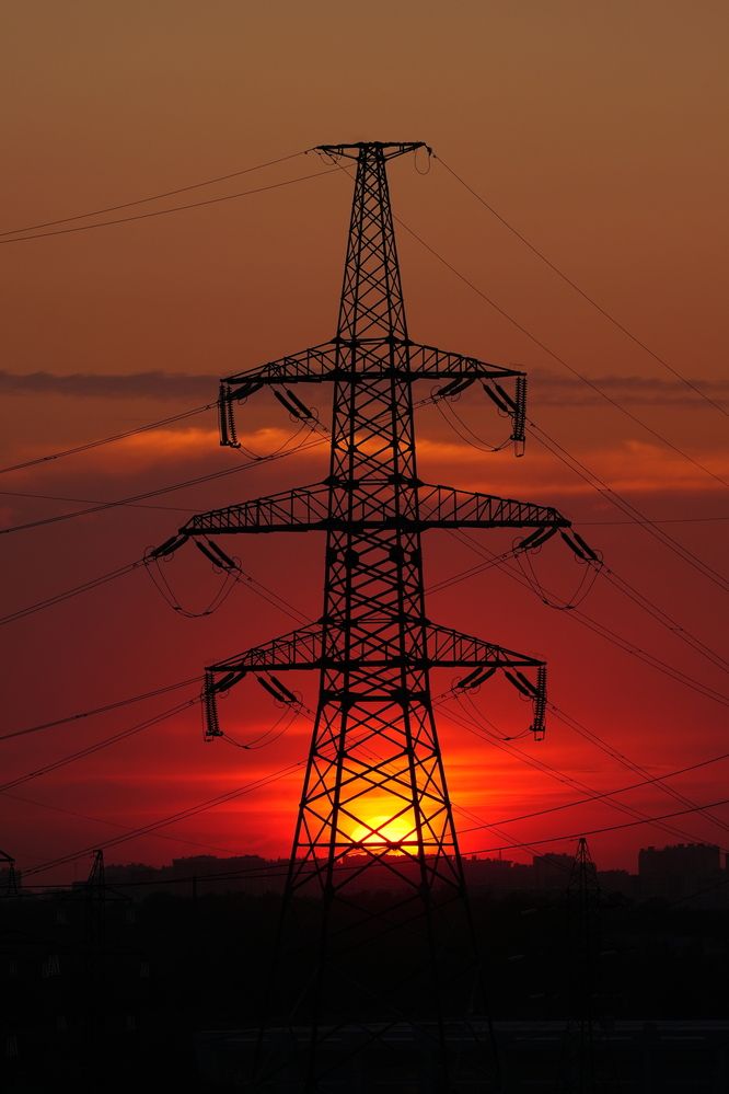 Фотография автора Светлана Зимина