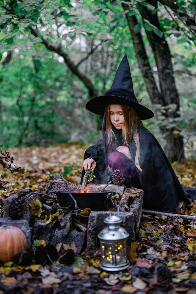 Фотография автора Ольга Шатова