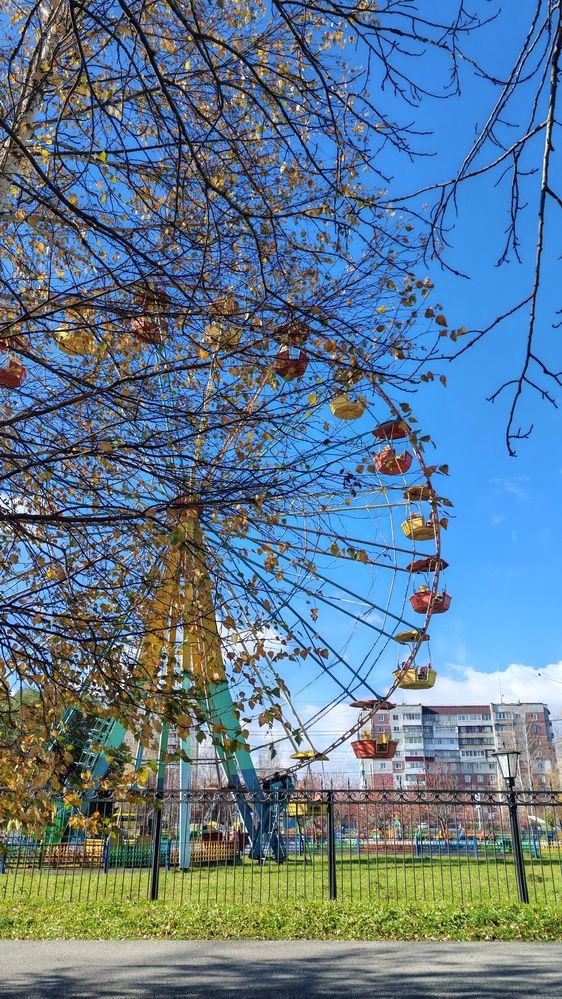 Фотография автора Наталья Шендяпина