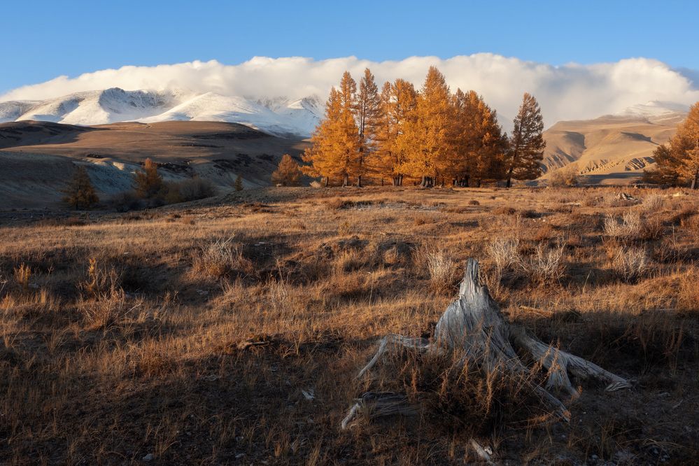 Photograph by Мозжухин Максим