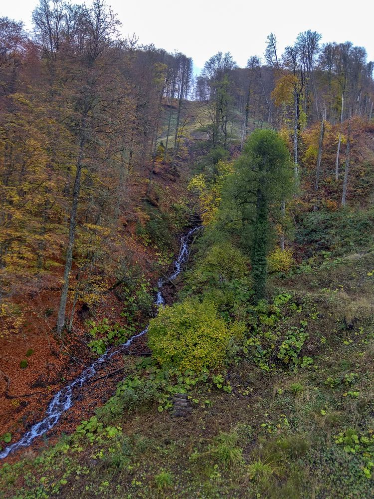 Фотография автора Татьяна Петренко