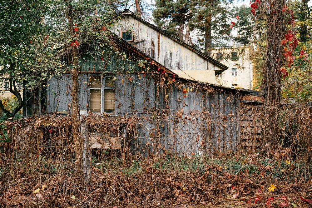 Photograph by Натали Захарова (Тай)