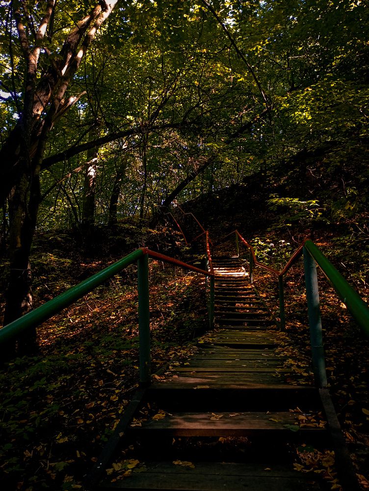 Photograph by Елена Ерасова