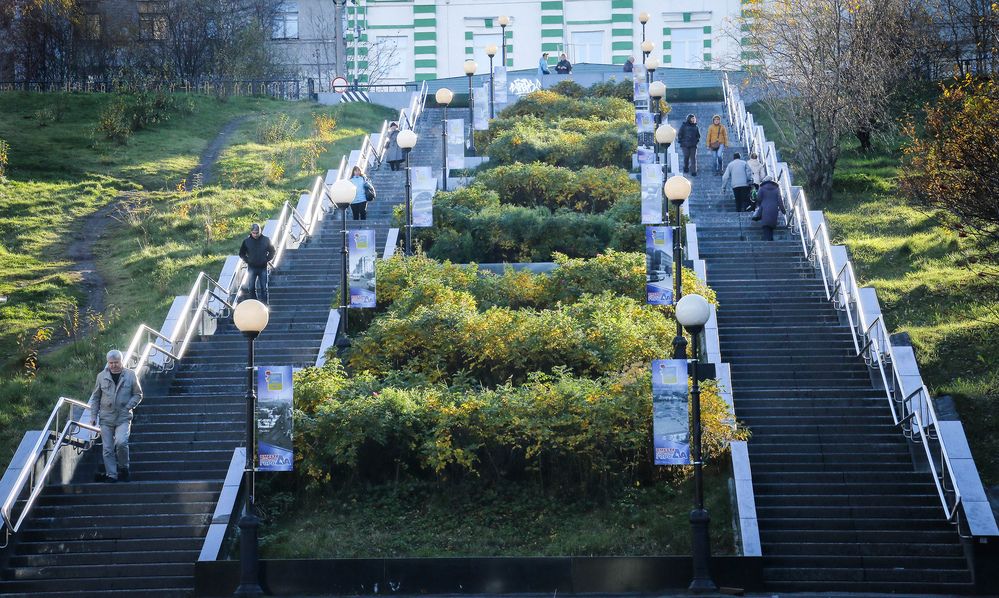 На работу и обратно