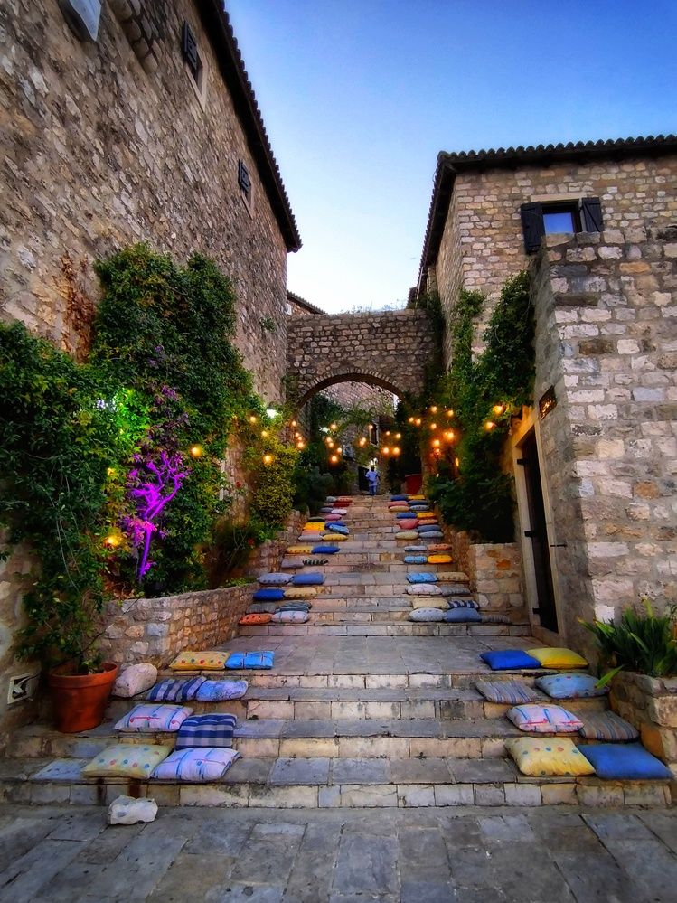 Фотография автора JELENA VASIC