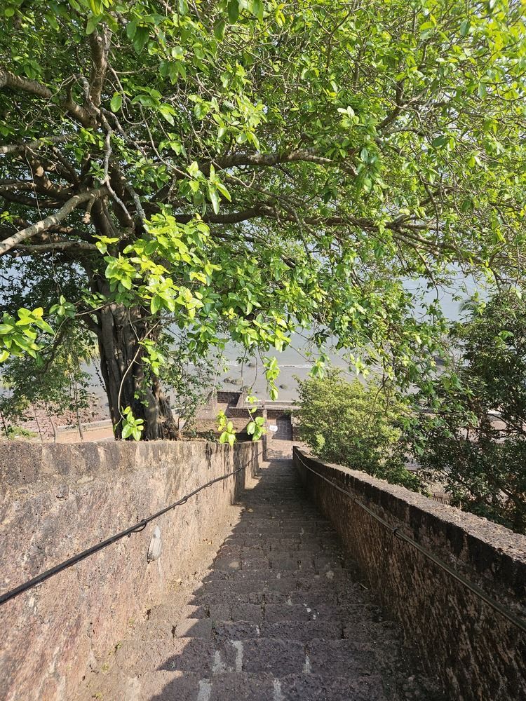Photograph by Кристина Кердянова