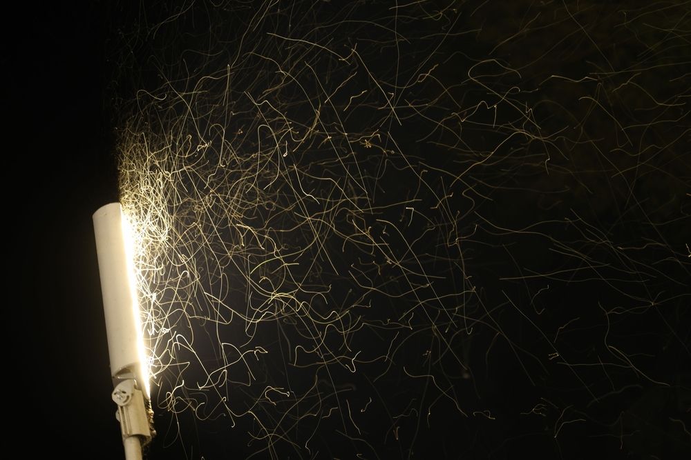 Photograph by Марина Иванникова