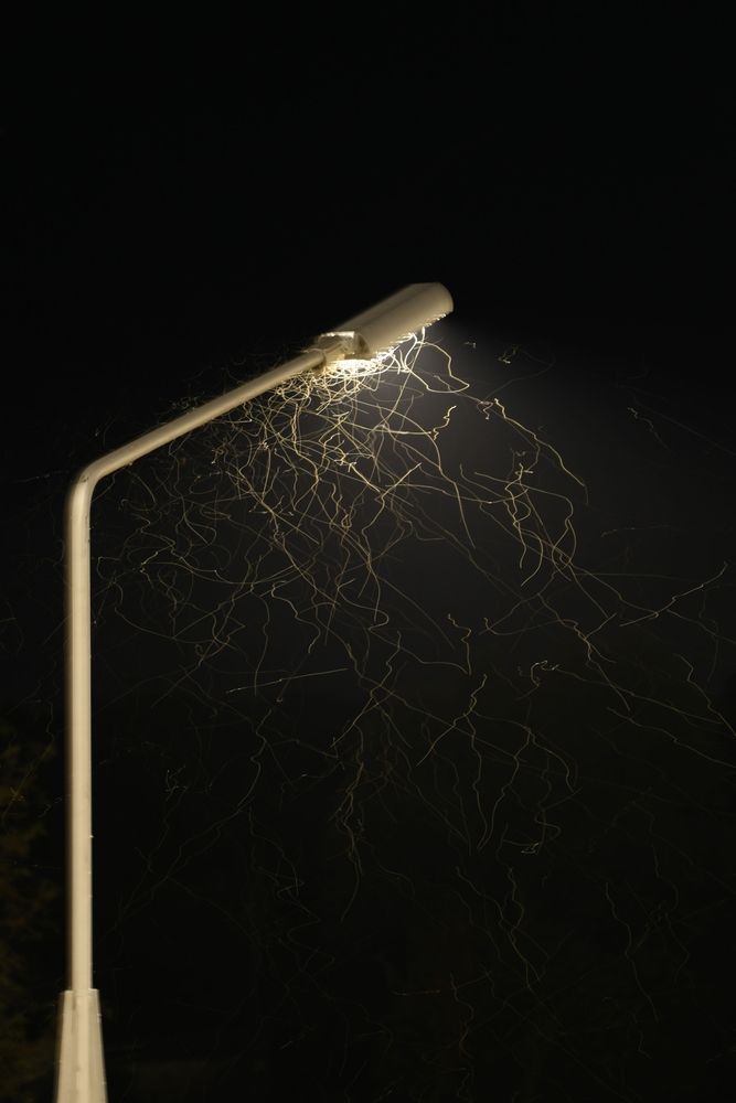 Photograph by Марина Иванникова