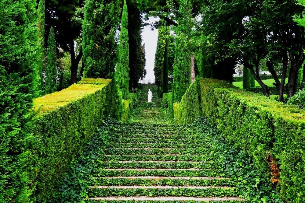 Photograph by Марина Раткун