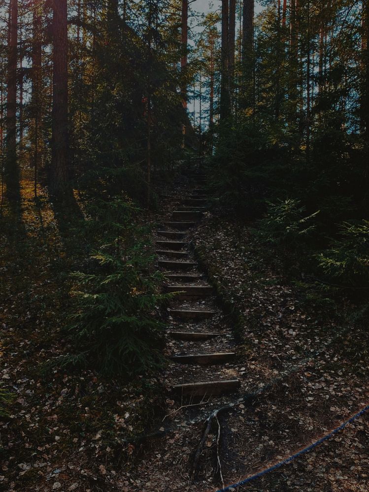 Photograph by Алёна Яцкевич