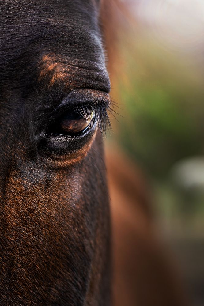 Photograph by Veronika Biró