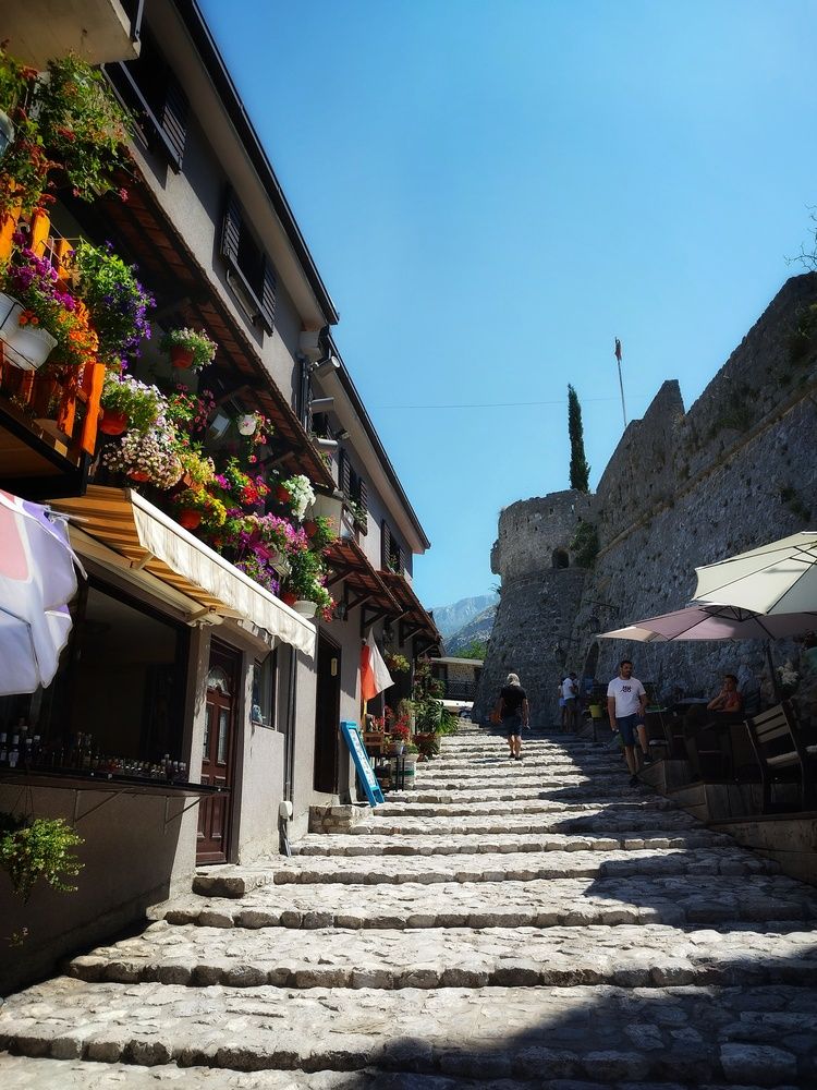 Фотография автора JELENA VASIC