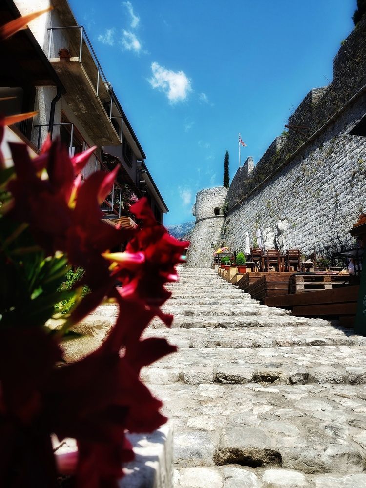 Фотография автора JELENA VASIC