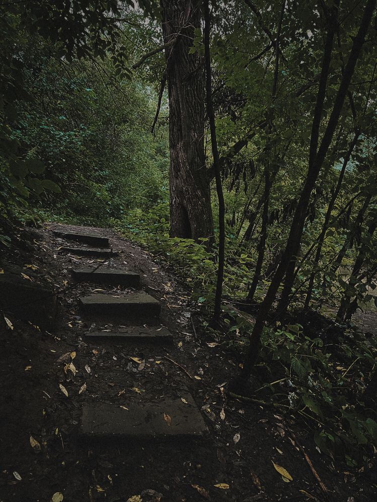 Photograph by Виктория Казакова