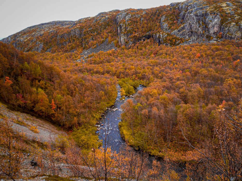 Photograph by Рыков Андрей