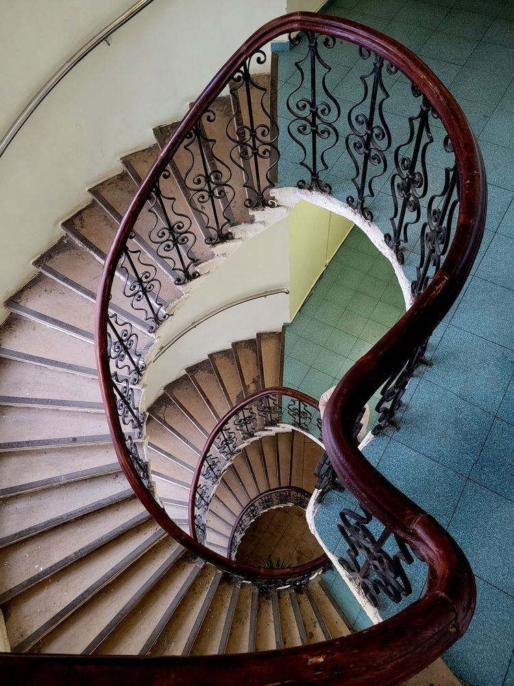 Фотография автора Светлана Зимина